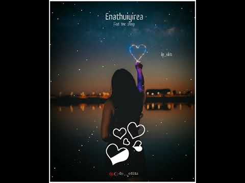 enathuyire enathuyire video song hd whatsapp status 😍😍😍😍