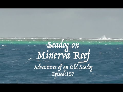 Seadog on Minerva reef.  Adventures of an Old Seadog, ep 157