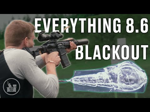 We Test 8.6 Blackout | 0-400 Yards | Silent But Deadly.