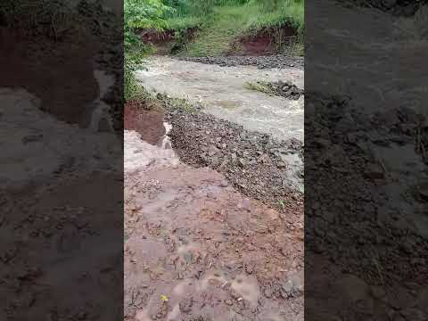 Pine rodou nas águas do bairro farinheira em Abatiá Pr