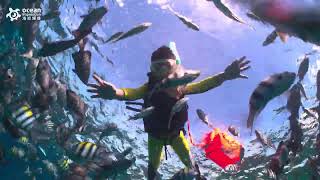 中四王群島Sawandarek Dive Site 碼頭記趣