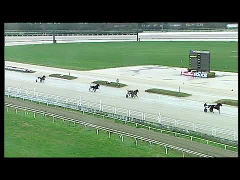 Trotto 15/01/2021 - prova di qualifica