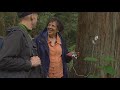 These trees do talk on this guided, old-growth forest stroll - KING 5 Evening