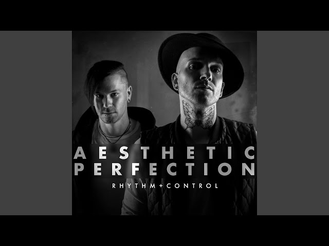 Aesthetic Perfection - Rhythm + Control (Electro Version) (Remix Stems)