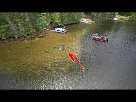 Fishing UBER Clear Water for GIANT SPAWNING Bass!