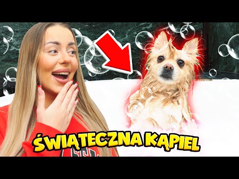 MY DOG DIDN'T EXPECT SUCH A GIFT! 🎁