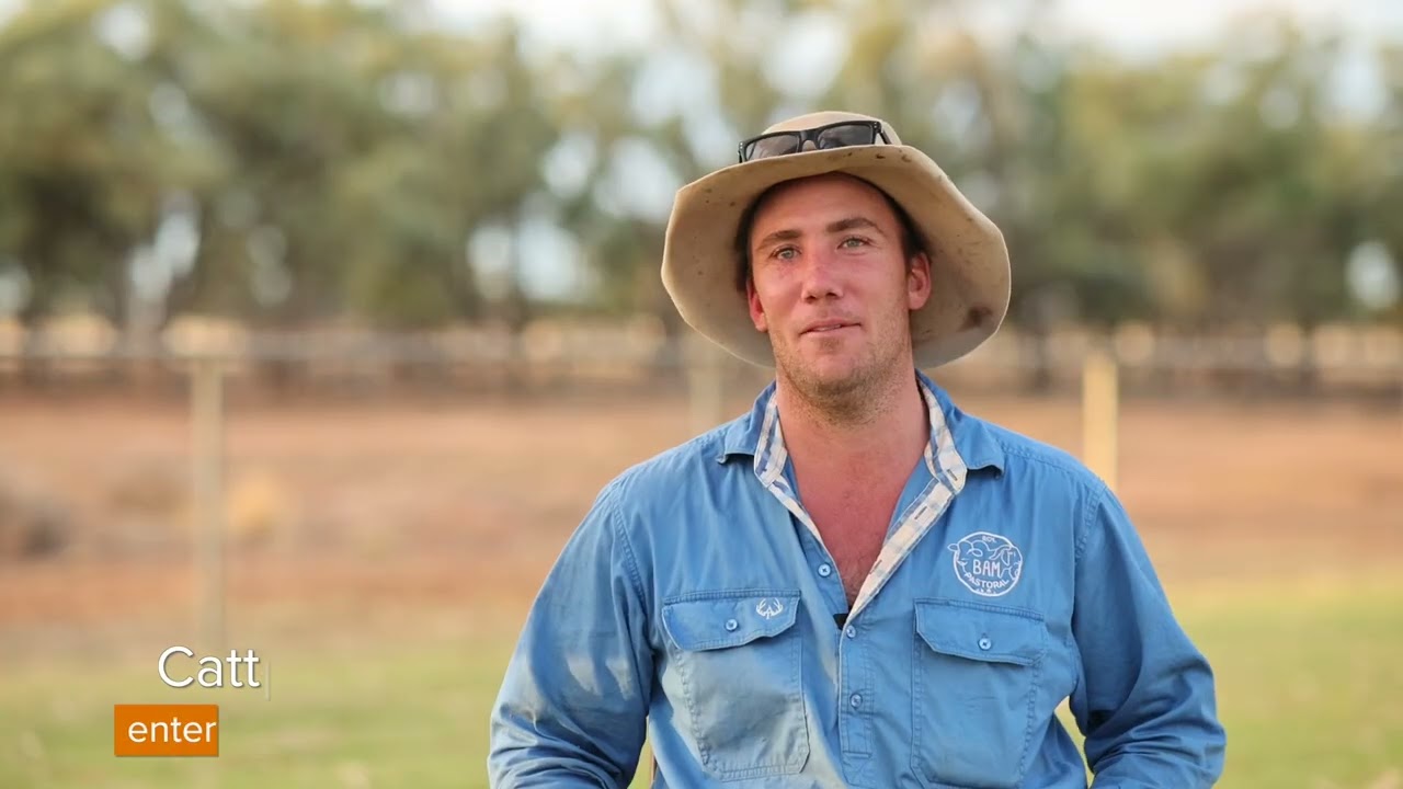 BAM Pastoral, ‘Yaralla’, Cunnamulla, QLD