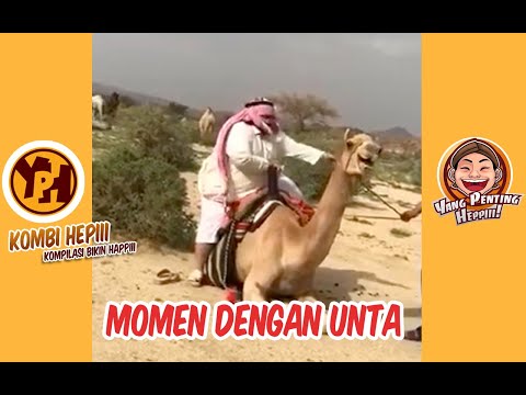 kombi-heppiii-momen-bersama-unta