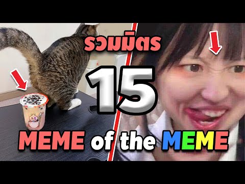 รวมมิตร ภาพนี้ก็ฮาเหมือนกันนะเนี้ย #15 SS2 [ พากย์นรก MEME.EXE ] | easy boy