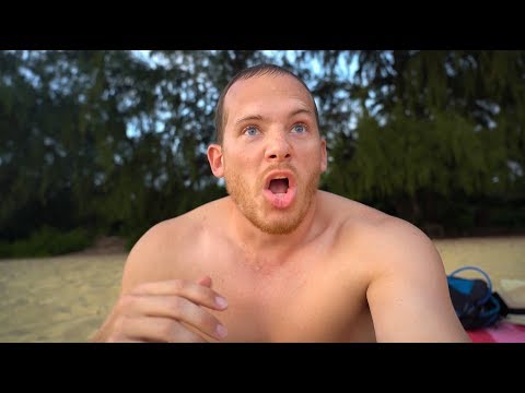 Almost Shark Bait in Kauai