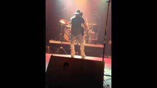 Frank Foster Cut off Jeans