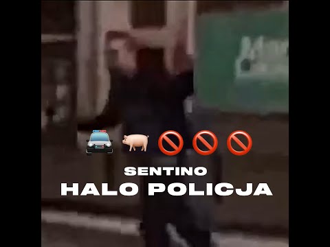 Video thumbnail for Halo Policja