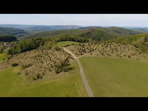 Das Bühlchen - ein Naturschutzgebiet mit seltenen Orchideen