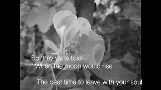 Crowded House - Catherine Wheels (lyrics)