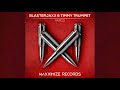 Blasterjaxx - Narco (Extended Mix Tiktok Remix)