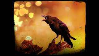 Nevermore | The Raven by Edgar Allan Poe set to music by matt bear