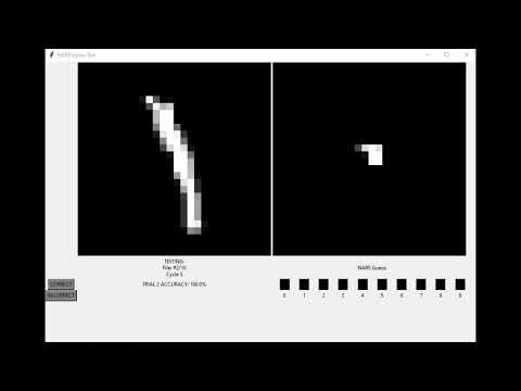 NARS Vision Test - Bit Memorization