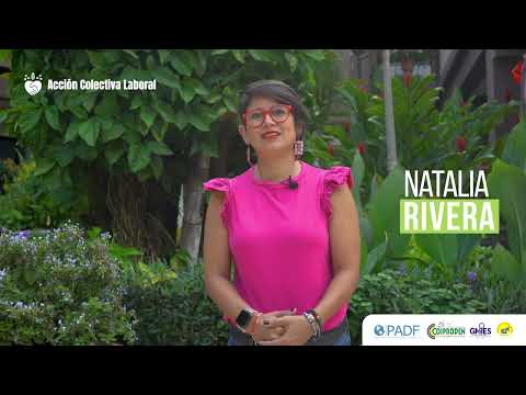 Video corporativo — PADF