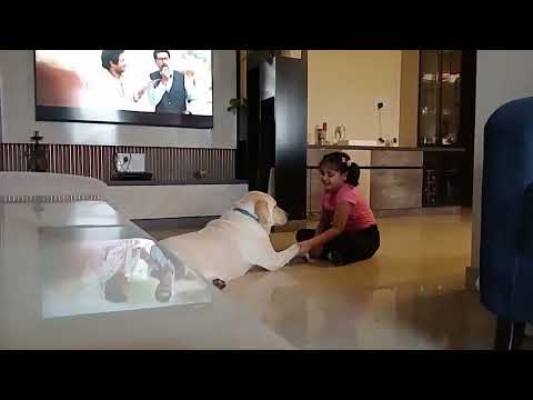 Dhanvi with Oscar the pet dog