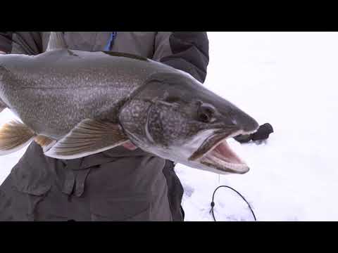 The Best Lake Trout Gear for Ice Fishing