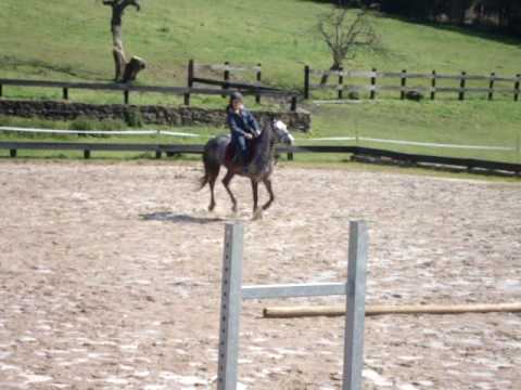 andrea fuentes y oj-alah