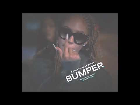 Amelia Monet ft. Br3nya - Bumper (World Vibes Riddim Mix) - DJ SGR Blend