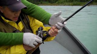 preview picture of video 'Kasilof River Fishing for Alaska King Salmon'