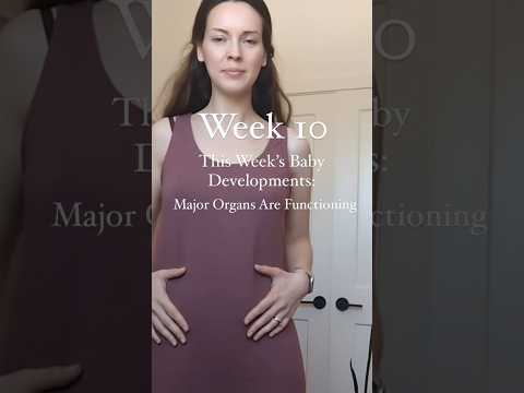 10 weeks pregnant baby development