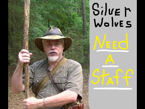 SILVER WOLVES  NEED WALKING STICKS