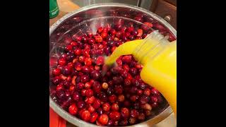 Pre-Thanksgiving Eve: Making the VIRAL Cranberry Candy & More!