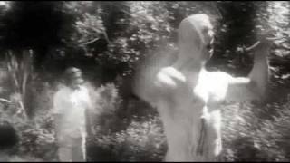 BRAINS by  Studbulls Disco Biscuit