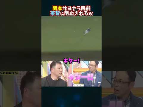 関本のサヨナラを阻んだ英智とのトークwww #野球 #プロ野球