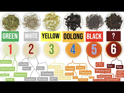 Discover the 6 Tea Types and a WORLD of Awesome Tea Sub-Types | Masterclass on Tea Ch. 1 of 8