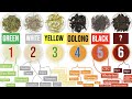 Discover The 6 Tea Types And A WORLD Of Awesome Tea Sub Types Masterclass On Tea Ch 1 Of 8