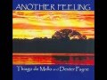 Thiago de Mello, Dexter Payne & Ithamara Koorax: Another Feeling