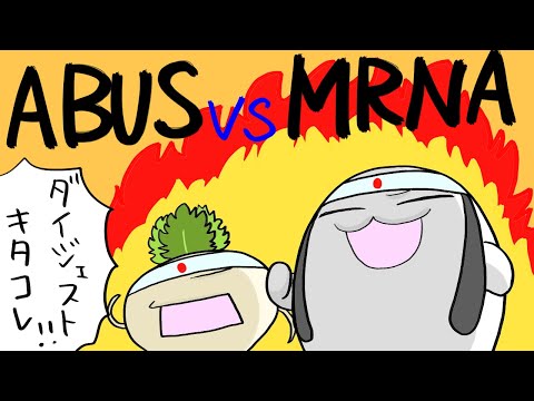 Arbutus unedo、イチゴの木