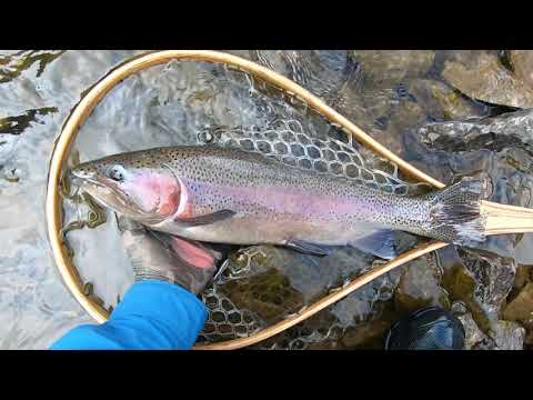 Three Miles Below Green Mountain (The Blue River, Colorado)