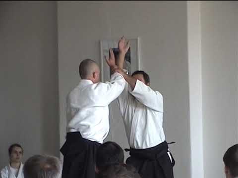 Aikido Christian Tissier Berlin 17.06.2011