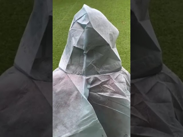 Vídeo relacionado con welsberg Poncho Impermeable para la Lluvia con Capucha y Mangas, Ropa Chubasquero Impermeable Reutilizable para Adultos Unisex, Talla única (FR/ES, Letras, Talla única, Regular, Regular, verde)