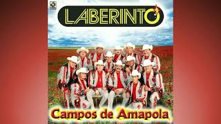 La Coqueta - Laberinto