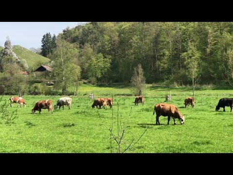 Boriss und Melissa 589 - 17. "Albschäferweg für Stubenhocker" - Jungfrauen und ein Himmelszelt