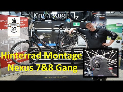 Hinterrad Nexus 7 & 8 Gang Ein und Ausbau. Schalteinheit montieren, Kette spannen. Nabenschaltung.