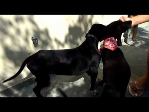 Theo & Talina auf Aegina