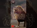 21 Ramzan Shahadat MoLa ALI A S FUZTU WA RABBIL KAABA Mola ALi A S SALAM 313