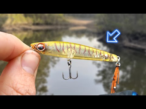 Surface Lure Fishing (Tips & Tricks)
