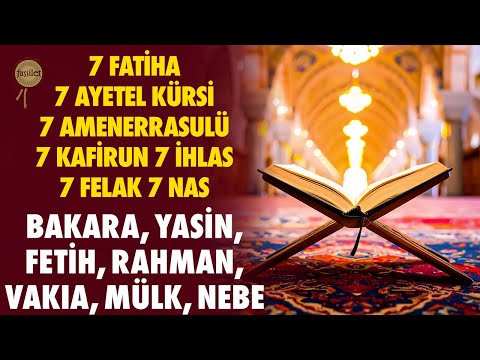 Bakara Yasin Fetih Rahman Vakıa Mülk Nebe 7 Fatiha Ayetel Kürsi Amenerrasulü Kafirun İhlas Felak Nas