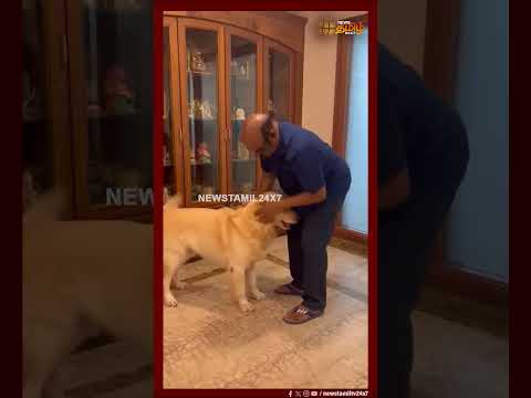 செல்லப்பிராணியை கொஞ்சி விளையாடும் ஜெயக்குமார்! Jayakumar Playing Dog