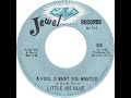 Little Joe Blue - A Fool Is What You Wanted
