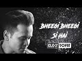 BHEEGI BHEEGI SI HAI GANGSTER ELEKTROHIT MASHUP