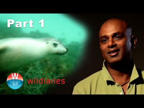 download lagu mp3 mp4 Michael Jeh, download lagu Michael Jeh gratis, unduh video klip Michael Jeh